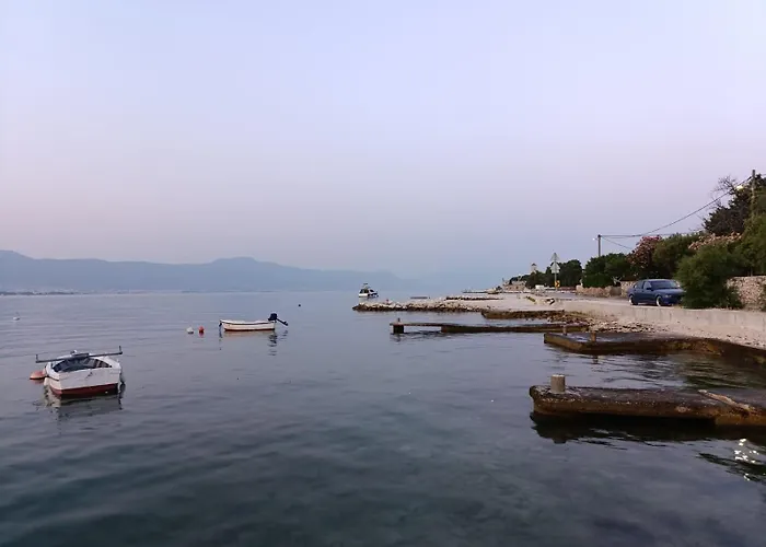Ružica Trogir
